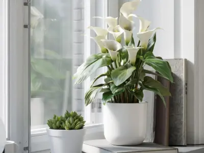  Calla Lily Plant Model  purchase