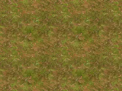 Dynamics and mix Free 3D model