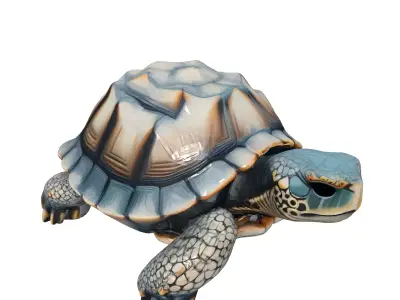 Realistic 3D Tortoise Model Low-poly 3D model