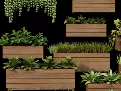 Home plants 3D model Low-poly 3D model