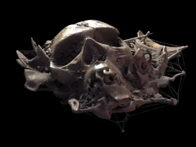 Broken Skull with Spider webs 1 3D model