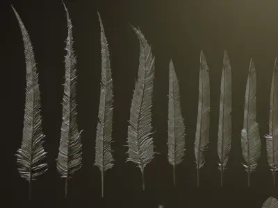 FEATHERS - 40 High poly sculpts and IMM Brush 3D model