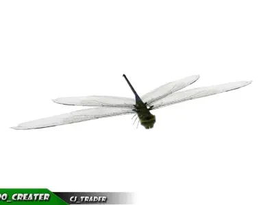 Low-Poly Wild Critter-Insect Rigged Collection Pack Low-poly 3D model