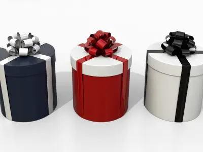 Gift Boxes - Round and Hexagon Trio with Tied Ribbon Rosette 3D model