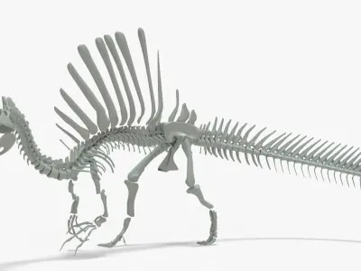 Spinosaurus Rigged Skeleton Low-poly 3D model