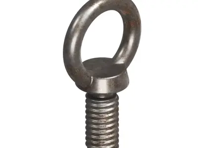 Rusty Steel Eye Bolt 3D model