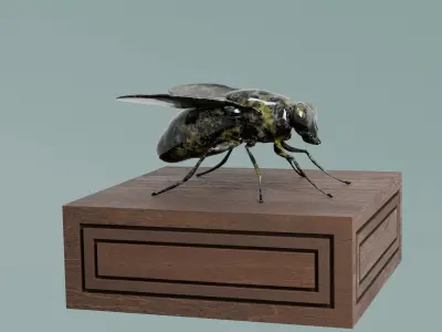 House Decoration Fly Bug Statue Low-poly 3D model