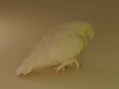blue macaw 3D model