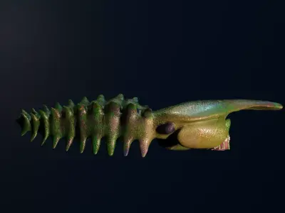 Aegirocassis dinosaur skeleton Free low-poly 3D model