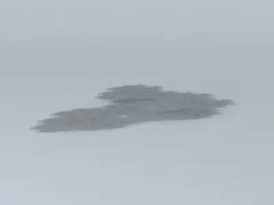 air force one Free 3D model