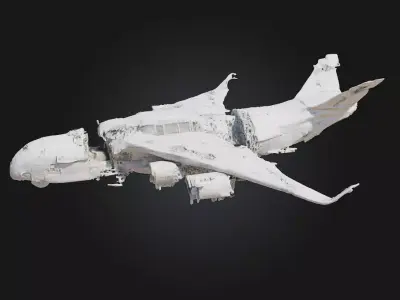 Crumpled Wings  Fragile Beauty in a World of Decay 3D model
