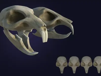 Rat Skull Low-poly 3D model