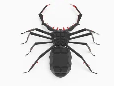 Bug low poly spider 3D model