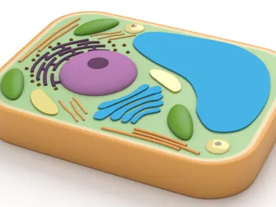 Plant Cell v2 3D model