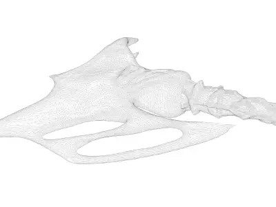 Medieval Axe Low-poly 3D model