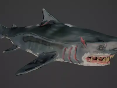 Stylized Low Poly Shark Game Ready Model Low-poly 3D model