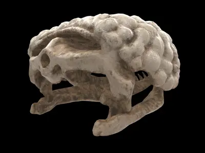 gila monster skull 3D model