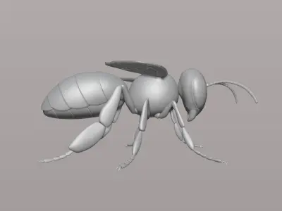 honey bee Free 3D print model