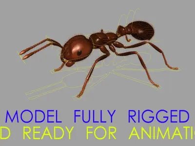 Solenopsis Invicta "Red Fire Ant" 3D model