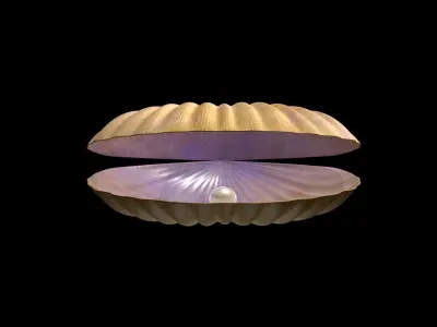 Oyster 3D Model shell 3D model