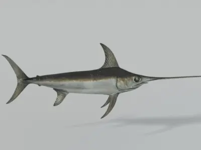 Swordfish marlin Low-poly 3D model purchase