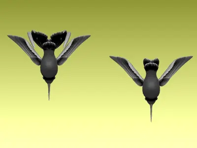 colibri humming bird 3D model purchase
