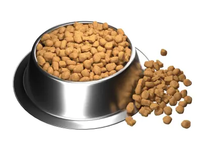 Dog food bowl 3  Low-poly 3D model