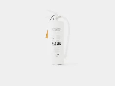Fire Extinguisher Low-poly 3D model 55