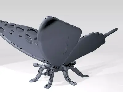 Butterfly Dust Voronoi 3D model