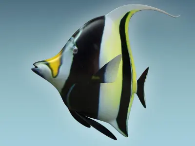 Manfish angel fish 3D model