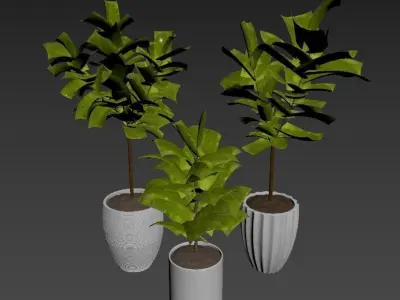 Plant Collection Rpm 07 3D model