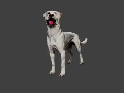 Dog Animal Low-poly 3D model order