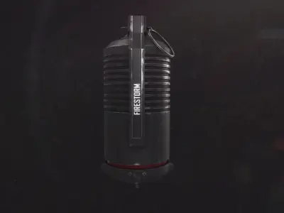 Frag FS 3D model
