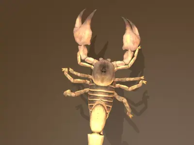 Desert Scorpion Sand Predator Multi Action 3D model