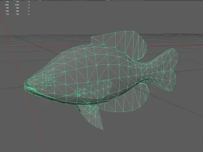 Panfish Low-poly 3D model buy