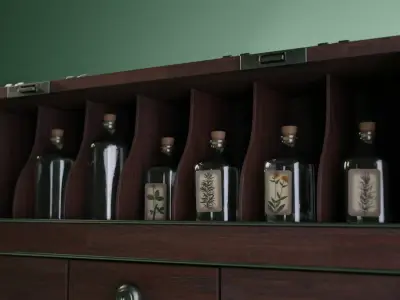 Alchemy Bottle Chest 3D model