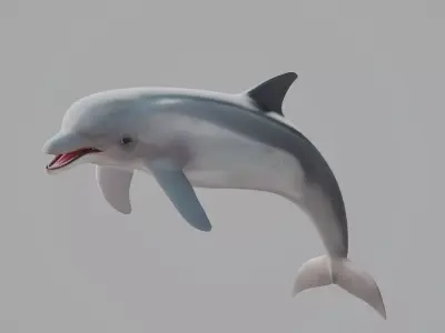 Dolphin Low-poly 3D model 2