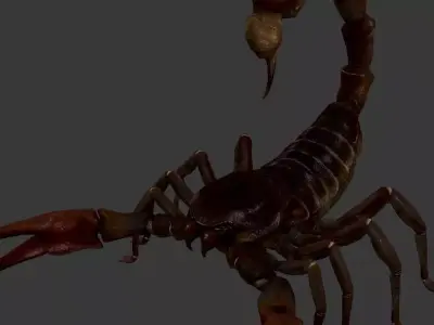 Scorpion Low-poly 3D model purchase