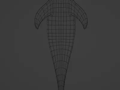 Shiny Dolphin 3D model