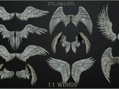 11 Wings 3D model