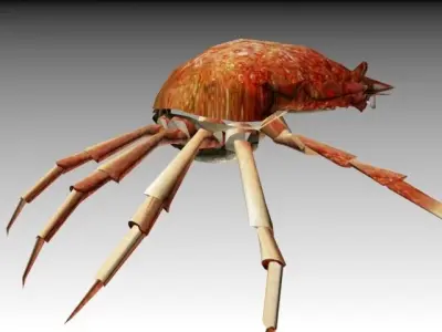 CRAB LOW POLY spider with long legs 3D model
