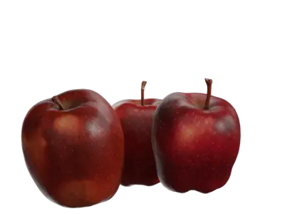  Red Delicious Apple Model 