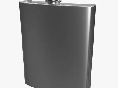 Flask hip 3D model
