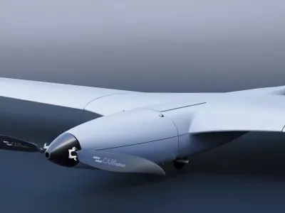 Punisher Ukrainian Aircraft Drone Low-poly 3D model