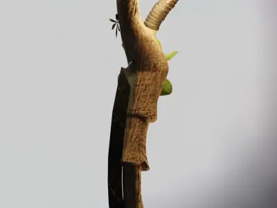Knife in Wood 3D model