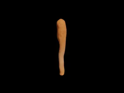 Cordyceps militaris Low-poly 3D model