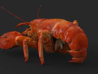 Lobster Low-poly 3D model buy