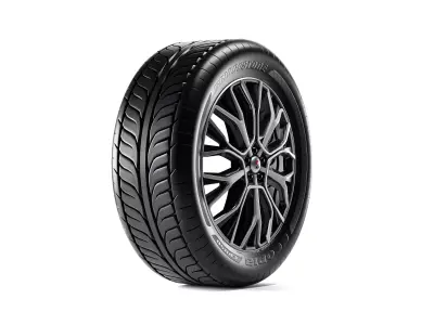 Car Tyre High Poly 3D model