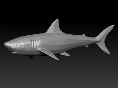 3D SHARK Low-poly 3D model