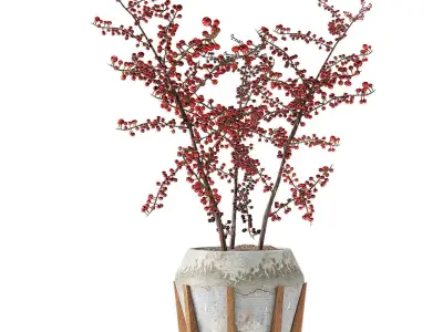 Plant in Pot Flowerpot Exotic Plant 3D model